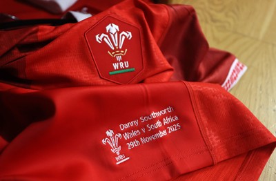 291125 - Wales v South Africa Springboks - Quilter Nations Series - Danny Southworth of Wales jersey in the dressing room before the game
