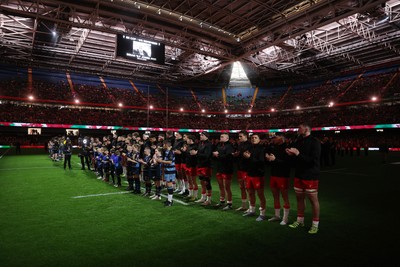 291125 - Wales v South Africa Springboks - Quilter Nations Series - Wales remembers past players