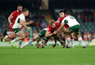 291125 - Wales v South Africa Springboks - Quilter Nations Series - Taine Plumtree of Wales is tackled by Franco Mostert of South Africa 