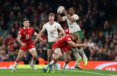 291125 - Wales v South Africa Springboks - Quilter Nations Series - Damian Willemse of South Africa is tackled by Blair Murray of Wales 