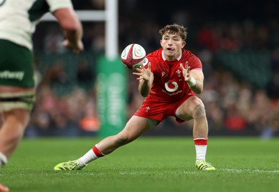 291125 - Wales v South Africa Springboks - Quilter Nations Series - Dan Edwards of Wales 