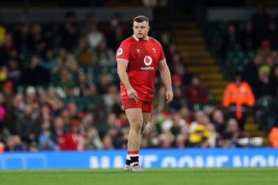291125 - Wales v South Africa Springboks - Quilter Nations Series - Danny Southworth of Wales on his debut