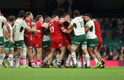 291125 - Wales v South Africa Springboks - Quilter Nations Series - Tensions between the teams boil over