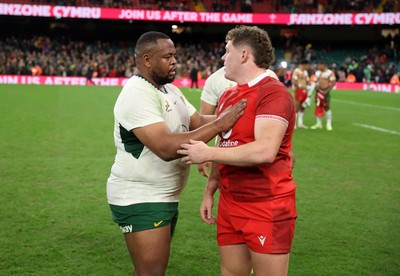 291125 - Wales v South Africa Springboks - Quilter Nations Series - Brodie Coghlan of Wales shakes hands with the opposition at full time