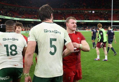 291125 - Wales v South Africa Springboks - Quilter Nations Series - Dewi Lake of Wales shakes hands with the opposition at full time
