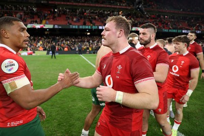 291125 - Wales v South Africa Springboks - Quilter Nations Series - Dewi Lake of Wales shakes hands with the opposition at full time