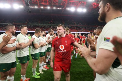 291125 - Wales v South Africa Springboks - Quilter Nations Series - Dewi Lake of Wales at full time