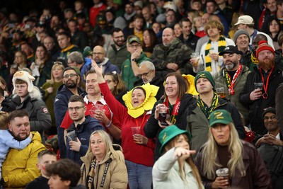 291125 - Wales v South Africa Springboks - Quilter Nations Series - Fans