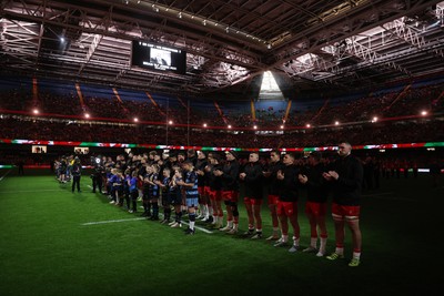 291125 - Wales v South Africa Springboks - Quilter Nations Series - Wales sing the anthem