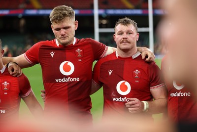 291125 - Wales v South Africa Springboks - Quilter Nations Series - Taine Plumtree and Dewi Lake of Wales 