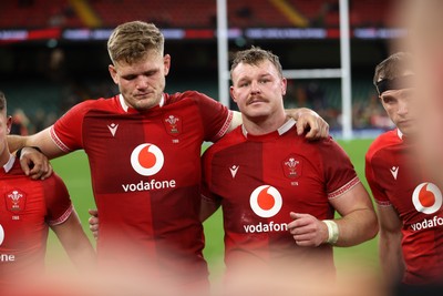291125 - Wales v South Africa Springboks - Quilter Nations Series - Taine Plumtree and Dewi Lake of Wales 