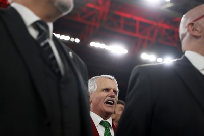 291125 - Wales v South Africa Springboks - Quilter Nations Series - Choir