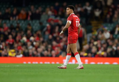 291125 - Wales v South Africa Springboks - Quilter Nations Series - Rio Dyer of Wales 