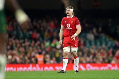 291125 - Wales v South Africa Springboks - Quilter Nations Series - Aaron Wainwright of Wales 