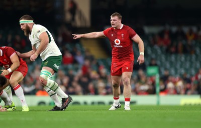 291125 - Wales v South Africa Springboks - Quilter Nations Series - Dewi Lake of Wales 