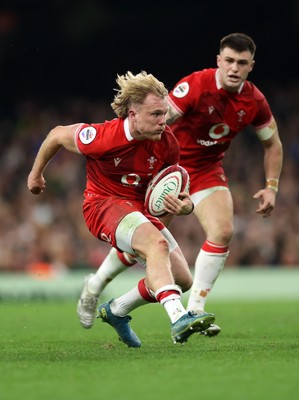 291125 - Wales v South Africa Springboks - Quilter Nations Series - Blair Murray of Wales 