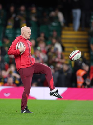 291125 - Wales v South Africa Springboks, Quilter Nations Series - Wales head coach Steve Tandy during warm up