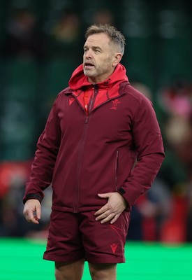 291125 - Wales v South Africa Springboks, Quilter Nations Series - Wales coach Danny Wilson during warm up