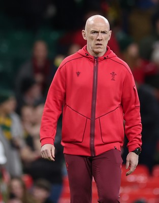 291125 - Wales v South Africa Springboks, Quilter Nations Series - Wales head coach Steve Tandy during warm up