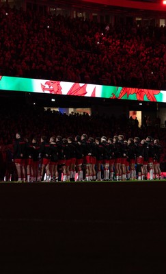 291125 - Wales v South Africa Springboks, Quilter Nations Series - The Wales team line up for the anthems