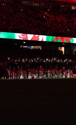 291125 - Wales v South Africa Springboks, Quilter Nations Series - The Wales team line up for the anthems
