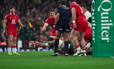 291125 - Wales v South Africa Springboks, Quilter Nations Series - Gerhard Steenekamp of South Africa reaches out to score try