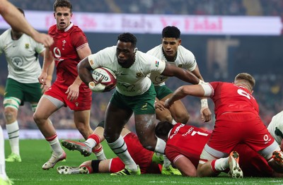 291125 - Wales v South Africa Springboks, Quilter Nations Series - Siya Kolisi of South Africa looks to break away