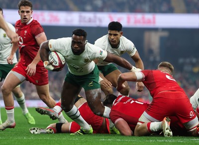 291125 - Wales v South Africa Springboks, Quilter Nations Series - Siya Kolisi of South Africa looks to break away