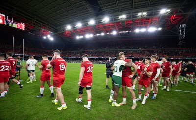 291125 - Wales v South Africa Springboks, Quilter Nations Series - Players congratulate each other at the end of the match