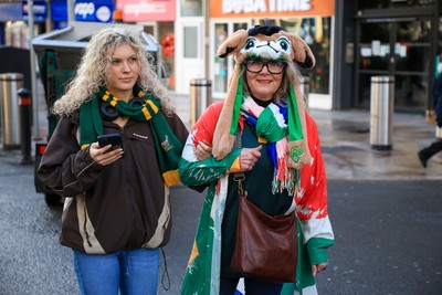 291125 - Wales v South Africa - Quilter Nations Series - South Africa fans before game