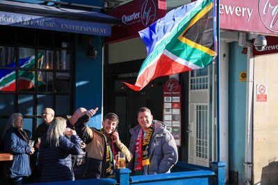 291125 - Wales v South Africa - Quilter Nations Series - South Africa fans before game