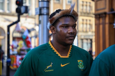 291125 - Wales v South Africa - Quilter Nations Series - South Africa fans before game