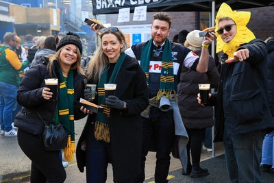 291125 - Wales v South Africa - Quilter Nations Series - South Africa fans before game in fan zone 