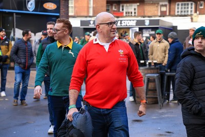 291125 - Wales v South Africa - Quilter Nations Series - Wales fan in fan zone 