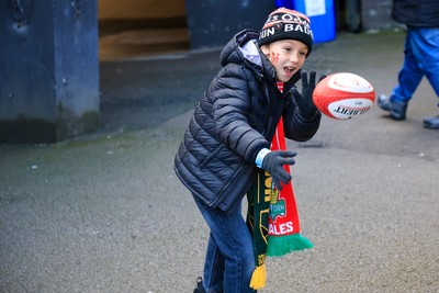 291125 - Wales v South Africa - Quilter Nations Series - Young Wales fan in fan zone 