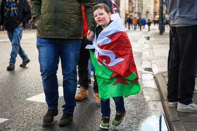 291125 - Wales v South Africa - Quilter Nations Series - Wales fans before game 