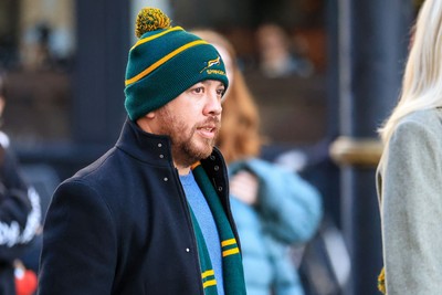 291125 - Wales v South Africa - Quilter Nations Series - South Africa fans before game