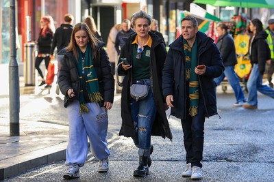 291125 - Wales v South Africa - Quilter Nations Series - South Africa fans before game