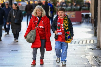 291125 - Wales v South Africa - Quilter Nations Series - Wales fans before game 