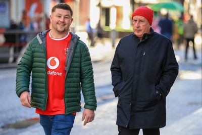 291125 - Wales v South Africa - Quilter Nations Series - Wales fans before game 