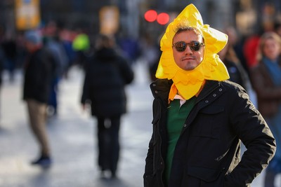 291125 - Wales v South Africa - Quilter Nations Series - South Africa fans before game