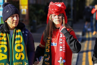 291125 - Wales v South Africa - Quilter Nations Series - South Africa and Wales fans before game