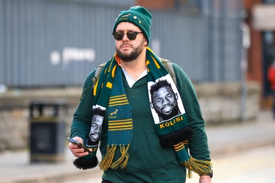 291125 - Wales v South Africa - Quilter Nations Series - South Africa fans before game