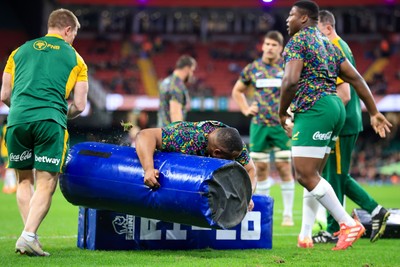 291125 - Wales v South Africa - Quilter Nations Series - South Africa players warming up before game 
