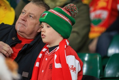 291125 - Wales v South Africa - Quilter Nations Series - Wales fans before game