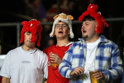 291125 - Wales v South Africa - Quilter Nations Series - Wales fans before game in sheep and dragons hats