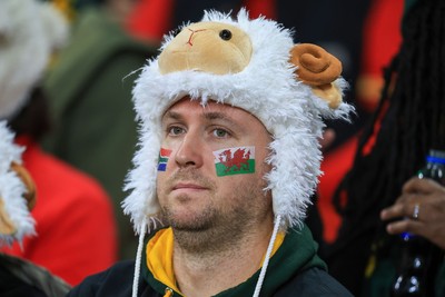 291125 - Wales v South Africa - Quilter Nations Series - Wales fans before game in sheep hat
