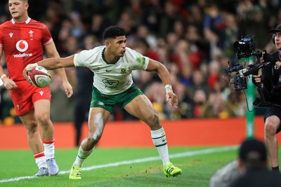 291125 - Wales v South Africa - Quilter Nations Series - Sacha Feinberg-Mngomezulu of South Africa celebrates after scoring