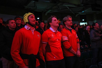 291125 - Wales v South Africa - Quilter Nations Series - Wales fans during national anthems