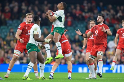 291125 - Wales v South Africa - Quilter Nations Series - Canan Moodie of South Africa